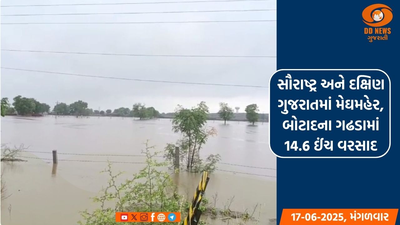 સૌરાષ્ટ્ર અને દક્ષિણ ગુજરાતમાં મેઘમહેર, બોટાદના ગઢડામાં 14.6 ઈંચ વરસાદ