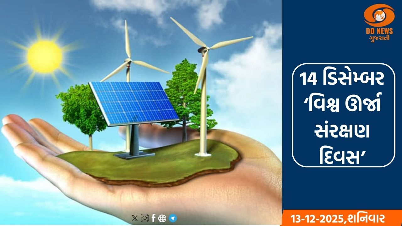 14 ડિસેમ્બર એટલે 'વિશ્વ ઊર્જા સંરક્ષણ દિવસ'