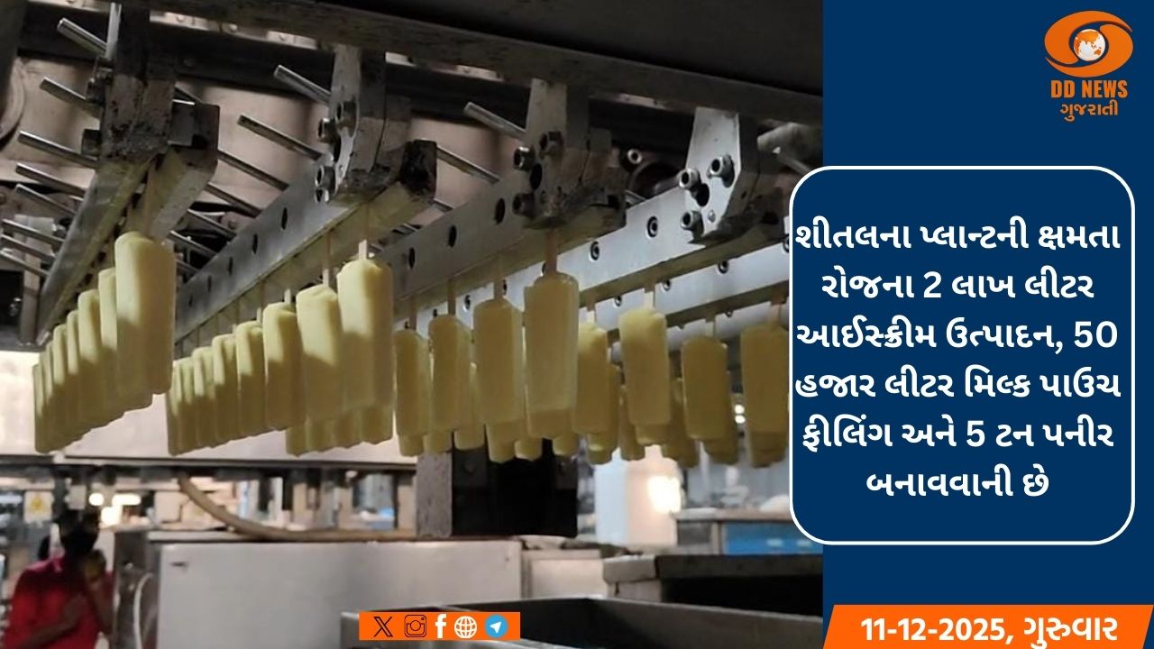 એક દુકાનથી શરૂ થયેલી ‘શીતલ’ આજે વૈશ્વિક મંચ પર: 350 કરોડના ટર્નઓવર સાથે અમરેલીની પ્રથમ સૌથી મોટી નિકાસકર્તા કંપની