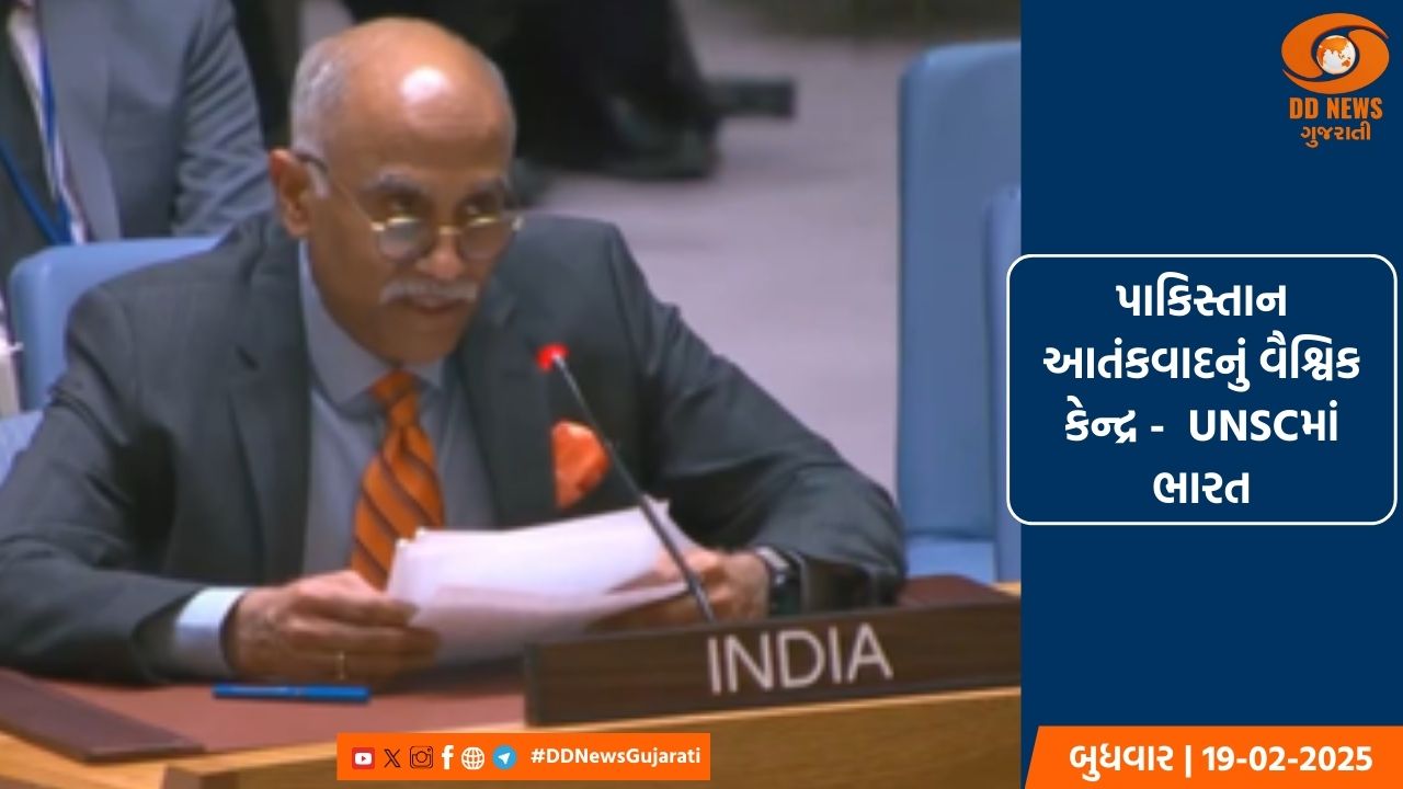 પાકિસ્તાન આતંકવાદનું વૈશ્વિક કેન્દ્ર -  UNSCમાં ભારત