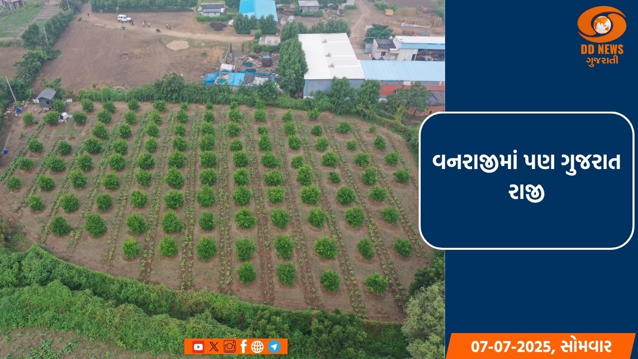 ફોરેસ્ટ કવર અને ટ્રી કવર મળીને ભારતનું કુલ ગ્રીન કવર 25.17 ટકા થયુ