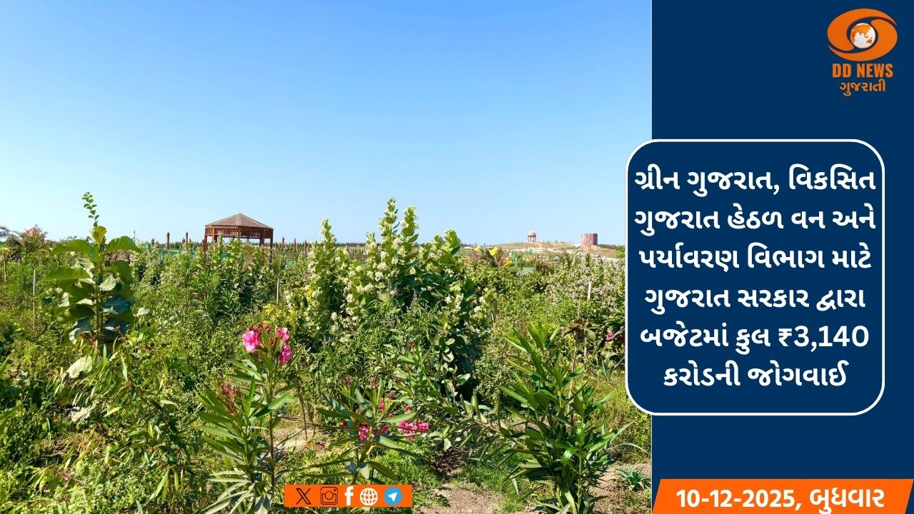 3 વર્ષમાં 1.04 લાખ હેક્ટર વન વિસ્તારમાં વાવેતરની કામગીરી કરવામાં આવી