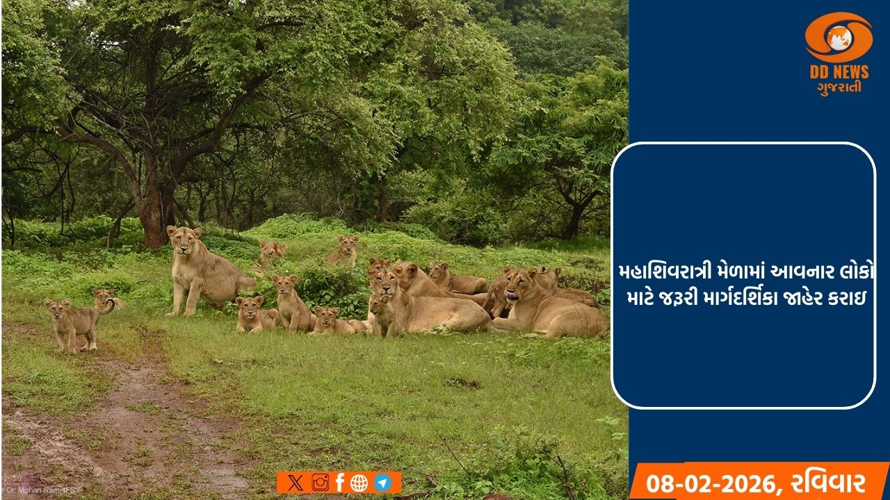 મહાશિવરાત્રી મેળા દરમિયાન વન્યપ્રાણી અને પર્યાવરણના હિતોની જાળવણી કરવા વન વિભાગનો અનુરોધ