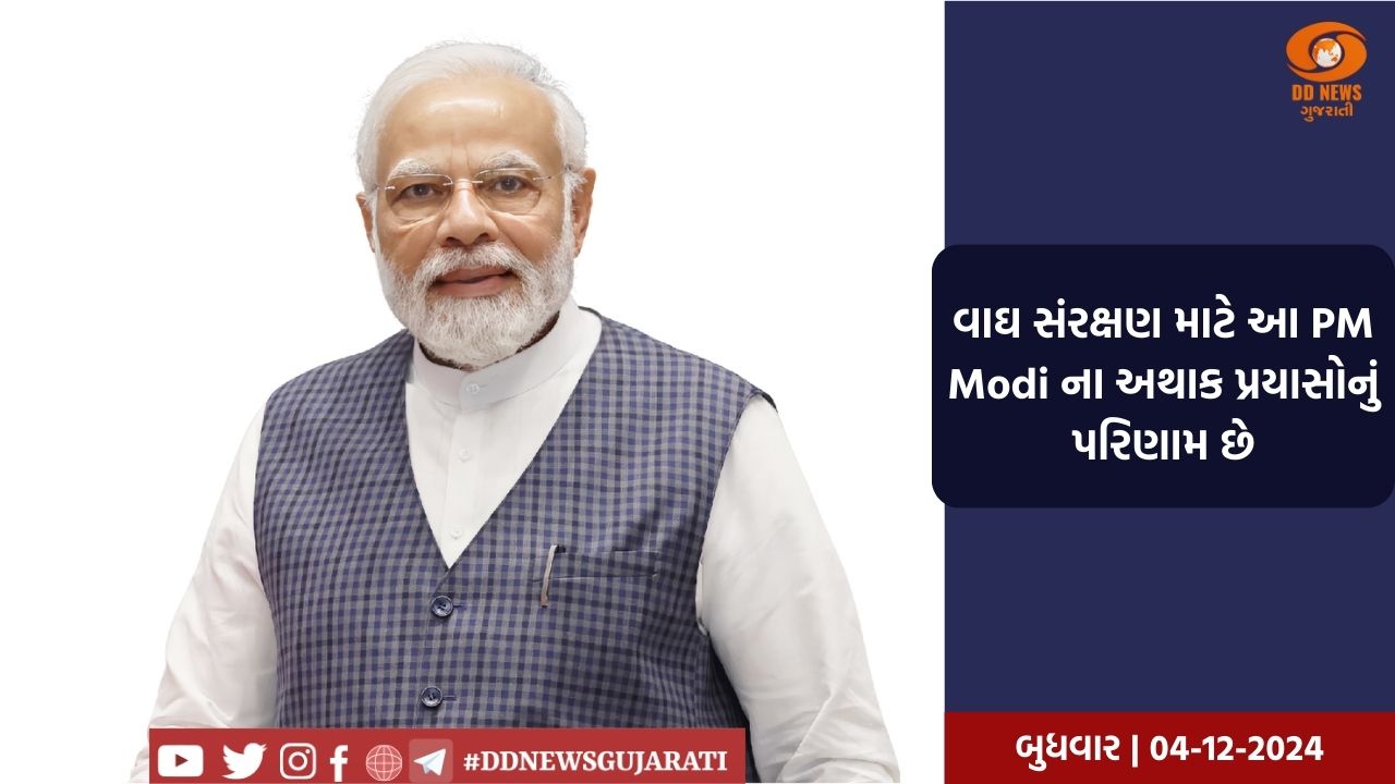 મધ્યપ્રદેશના રતાપાની અભયારણ્યને ટાઈગર રિઝર્વ માટે જાહેર, PM Modi એ પર્યાવરણ પ્રેમીઓને અભિનંદન પાઠવ્યા 