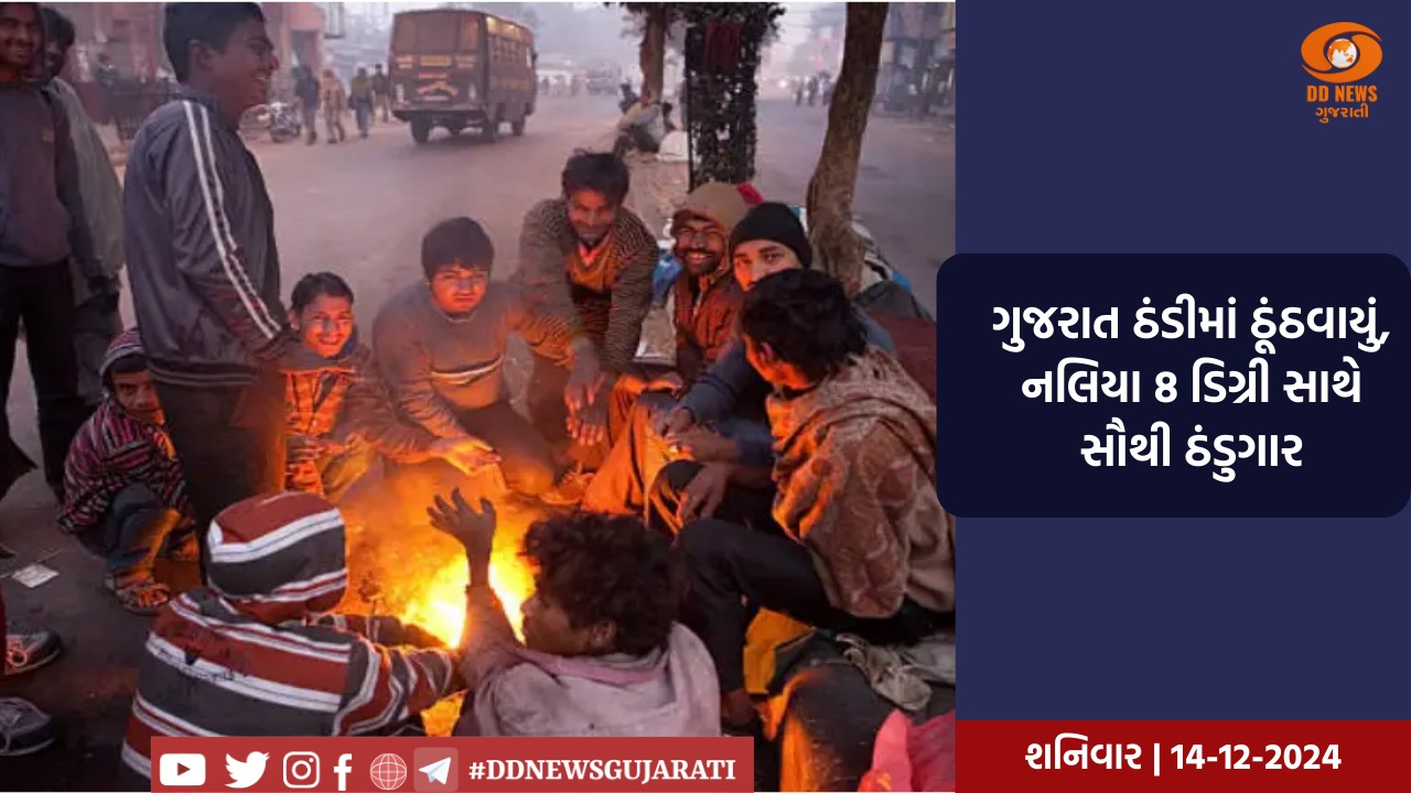 ગુજરાત ઠંડીમાં ઠૂંઠવાયું, નલિયા 8 ડિગ્રી સાથે સૌથી ઠંડુગાર