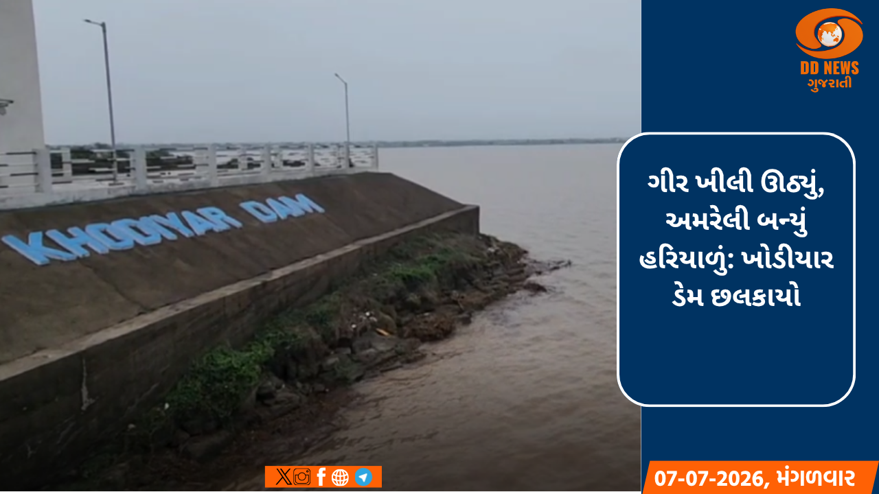 ગીર ખીલી ઊઠ્યું, અમરેલી બન્યું હરિયાળું: ખોડીયાર ડેમ છલકાયો
