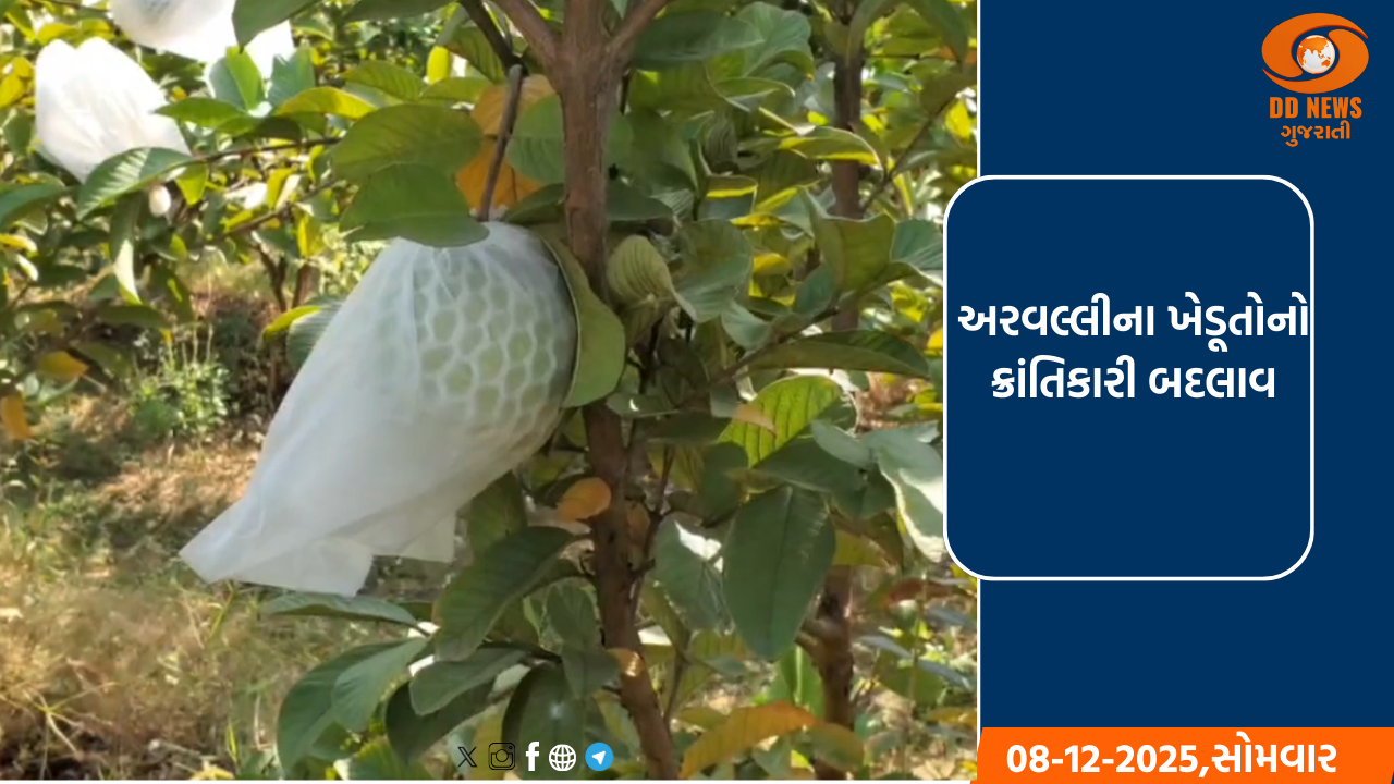અરવલ્લીના ખેડૂતોનો ક્રાંતિકારી બદલાવ