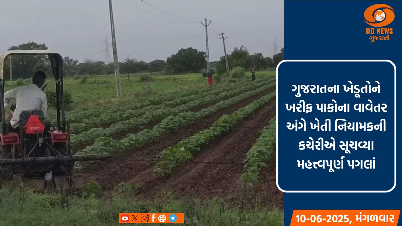 ગુજરાતના ખેડૂતોને ખરીફ પાકોના વાવેતર અંગે ખેતી નિયામકની કચેરીએ સૂચવ્યા મહત્ત્વપૂર્ણ પગલાં