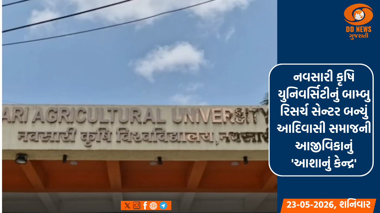 નવસારી કૃષિ યુનિવર્સિટીનું બામ્બુ રિસર્ચ સેન્ટર બન્યું આદિવાસી સમાજની આજીવિકાનું 'આશાનું કેન્દ્ર'