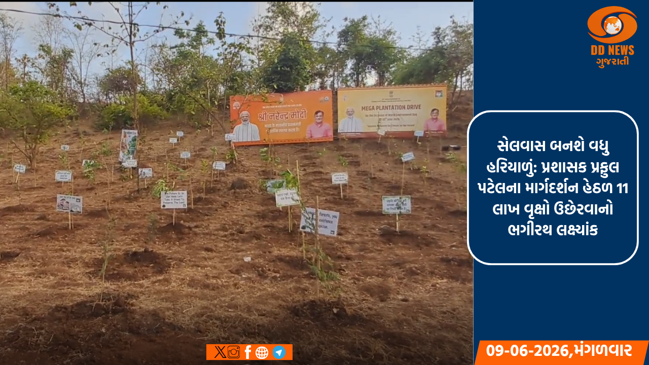 સેલવાસ બનશે વધુ હરિયાળું: પ્રશાસક પ્રફુલ પટેલના માર્ગદર્શન હેઠળ 11 લાખ વૃક્ષો ઉછેરવાનો ભગીરથ લક્ષ્યાંક