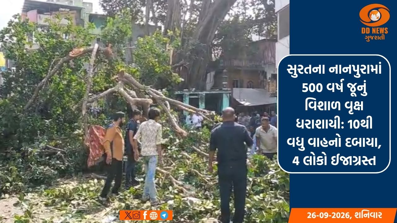 સુરતના નાનપુરામાં 500 વર્ષ જૂનું વિશાળ વૃક્ષ ધરાશાયી: 10થી વધુ વાહનો દબાયા, 4 લોકો ઈજાગ્રસ્ત