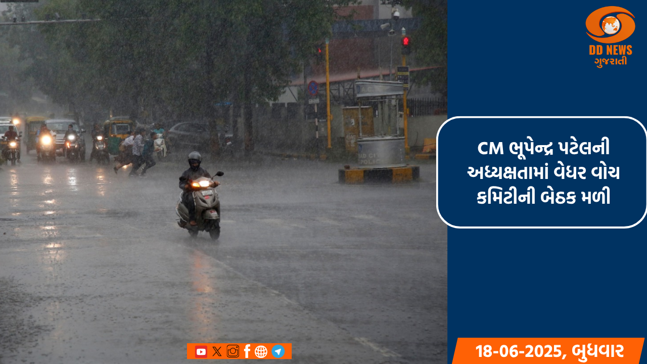 છેલ્લા 24 કલાકમાં 227 તાલુકામાં વરસાદ, 8 તાલુકામાં ચાર ઈંચથી વધુ વરસાદ