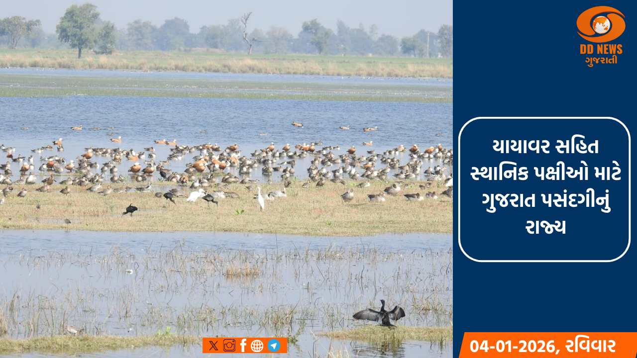 ભારતીય કુસ્તીબાજ વિનેશ ફોગાટનું દિલ્હીના IGI એરપોર્ટ પર ઉષ્માભર્યું સ્વાગત કરવામાં આવ્યું