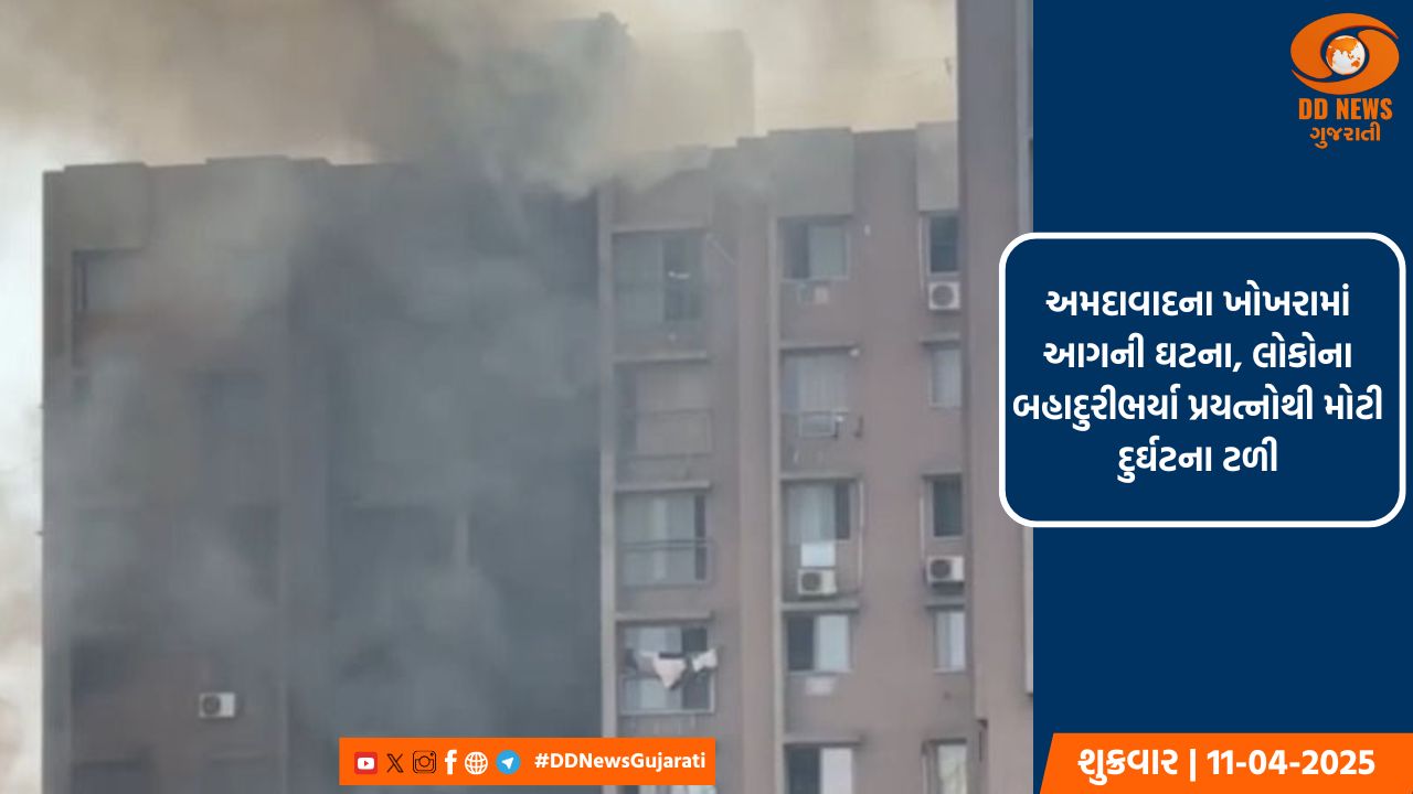અંબાજી નજીક પીપળા વાળી ગામે જંગલ મા આગ , જંગલમાં આગથી જંગલી જાનવર સામે ખતરો