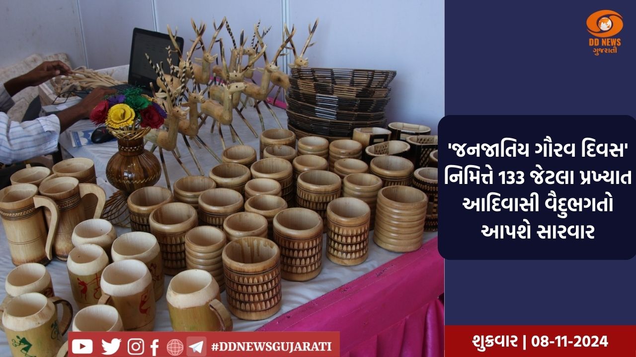 અમદાવાદમાં 9થી 14 નવેમ્બર દરમિયાન 'પરંપરાગત આદિવાસી વનૌષધિય પ્રદર્શન – વેચાણ' મેળો યોજાશે