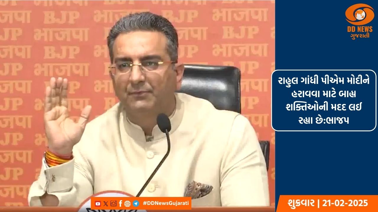 રાહુલ ગાંધી પીએમ મોદીને હરાવવા માટે બાહ્ય શક્તિઓની મદદ લઈ રહ્યા છે:ભાજપ