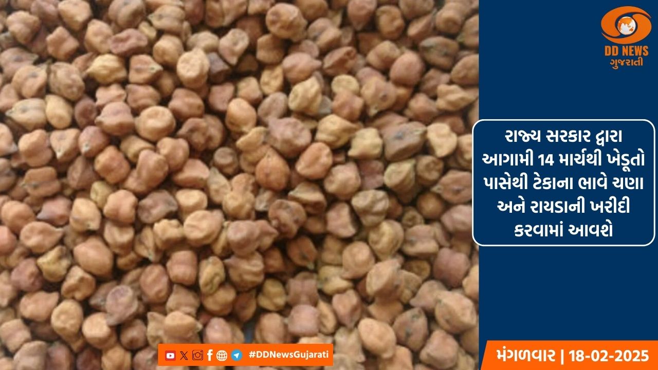 રાજ્ય સરકાર દ્વારા આગામી 14 માર્ચથી ખેડૂતો પાસેથી ટેકાના ભાવે ચણા અને રાયડાની ખરીદી કરવામાં આવશે