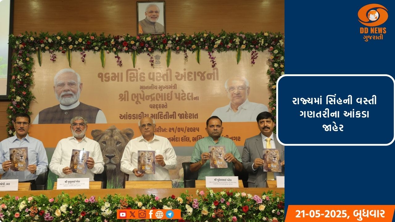 મુખ્યમંત્રી ભૂપેન્દ્ર પટેલે 16મી સિંહ વસ્તી ગણતરીના આંકડા કર્યા જાહેર 
