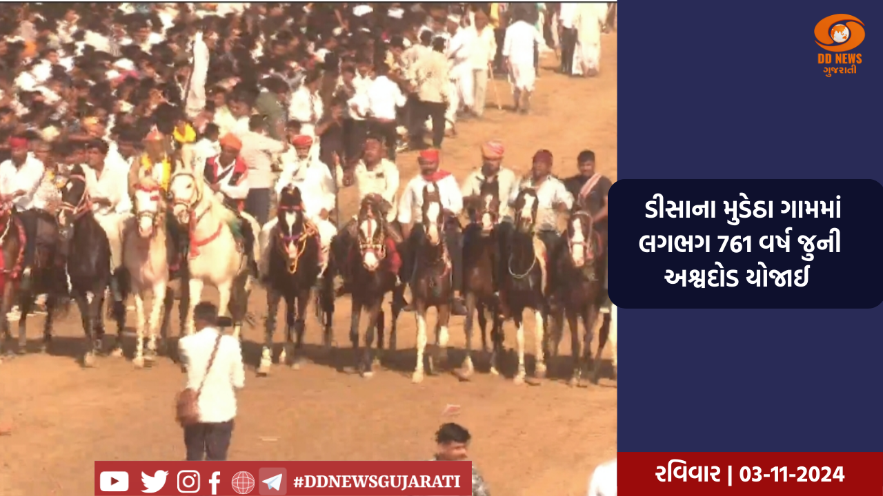 ડીસાના મુડેઠા ગામમાં 750 વર્ષથી જુની અશ્વદોડ યોજાઈ,  અશ્વ દોડ નિહાળવા મોટી સંખ્યામાં લોકો ઉમટી પડયા 
