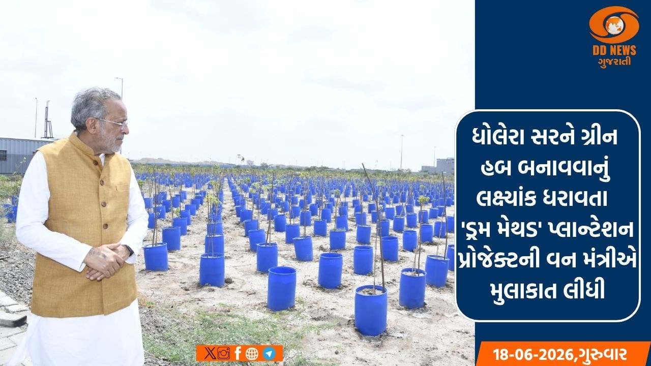 ધોલેરા સરને ગ્રીન હબ બનાવવાનું લક્ષ્યાંક ધરાવતા  'ડ્રમ મેથડ' પ્લાન્ટેશન પ્રોજેક્ટની વન મંત્રીએ મુલાકાત લીધી