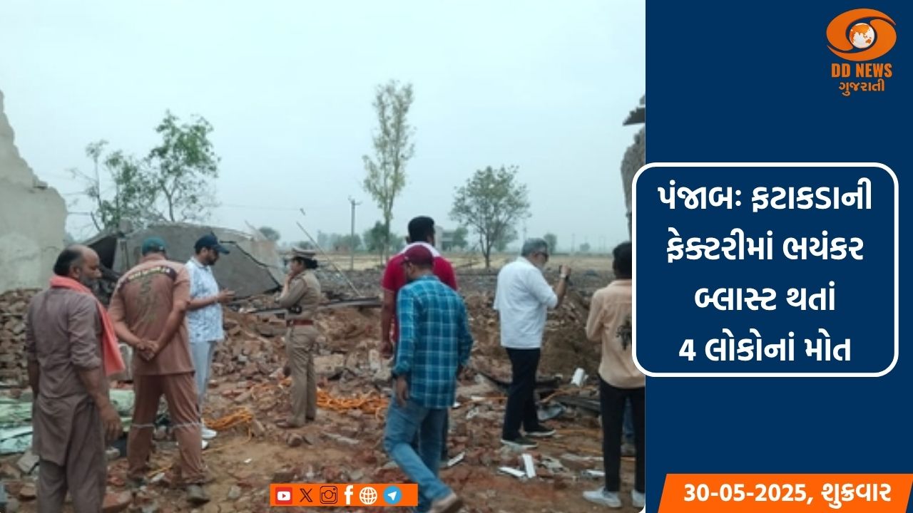 વિવિધ વેરાઈટીના ફટકાડાઓએ બજારમાં મચાવી ધૂમ