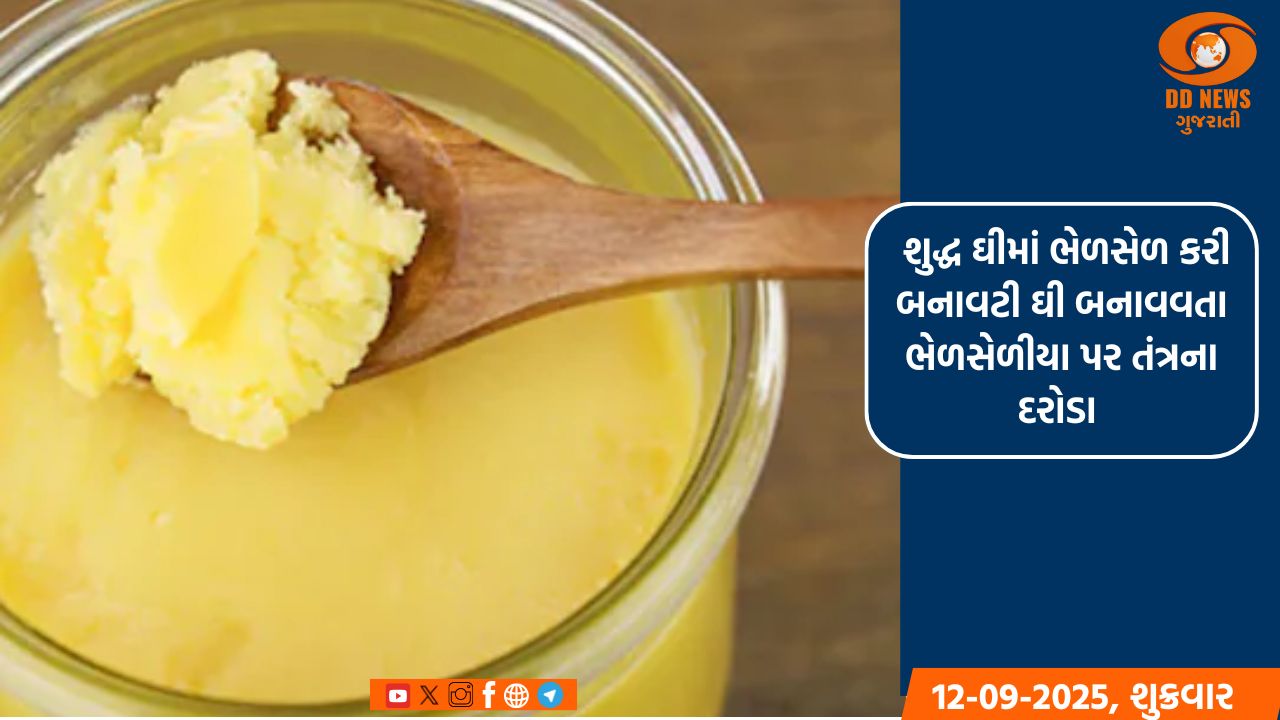  શુદ્ધ ઘીમાં ભેળસેળ કરી બનાવટી ઘી બનાવવતા ભેળસેળીયા પર તંત્રના દરોડા 