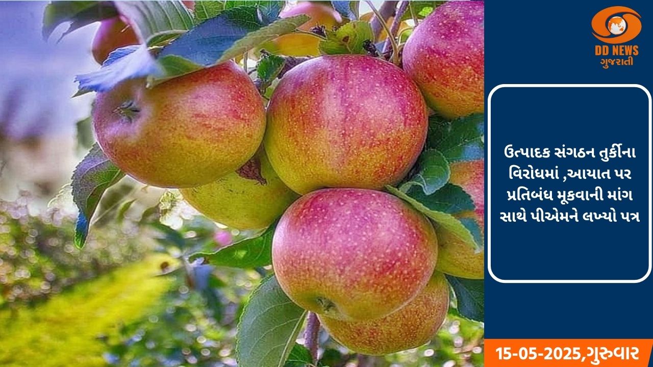 ઉત્પાદક સંગઠન તુર્કીના વિરોધમાં ,આયાત પર પ્રતિબંધ મૂકવાની માંગ સાથે પીએમને લખ્યો પત્ર