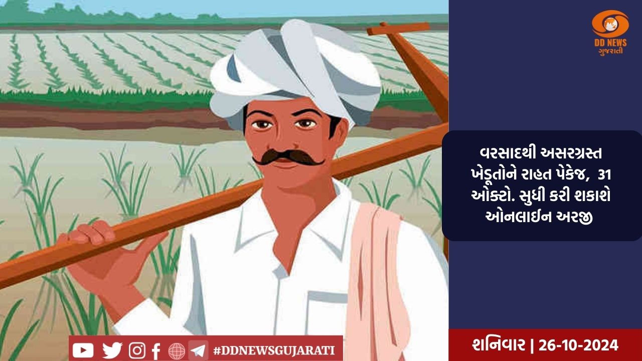 રાજકોટમાં વરસાદથી અસરગ્રસ્ત ખેડૂતોને રાહત પેકેજ,  31 ઓક્ટો. સુધી કરી શકાશે ઓનલાઈન અરજી 