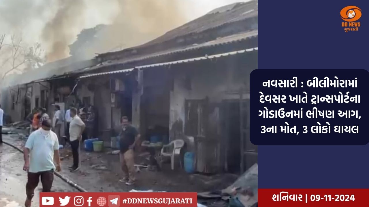 નવસારી : બીલીમોરામાં દેવસર ખાતે ટ્રાન્સપોર્ટના ગોડાઉનમાં ભીષણ આગ, 3ના મોત, 3 લોકો ઘાયલ