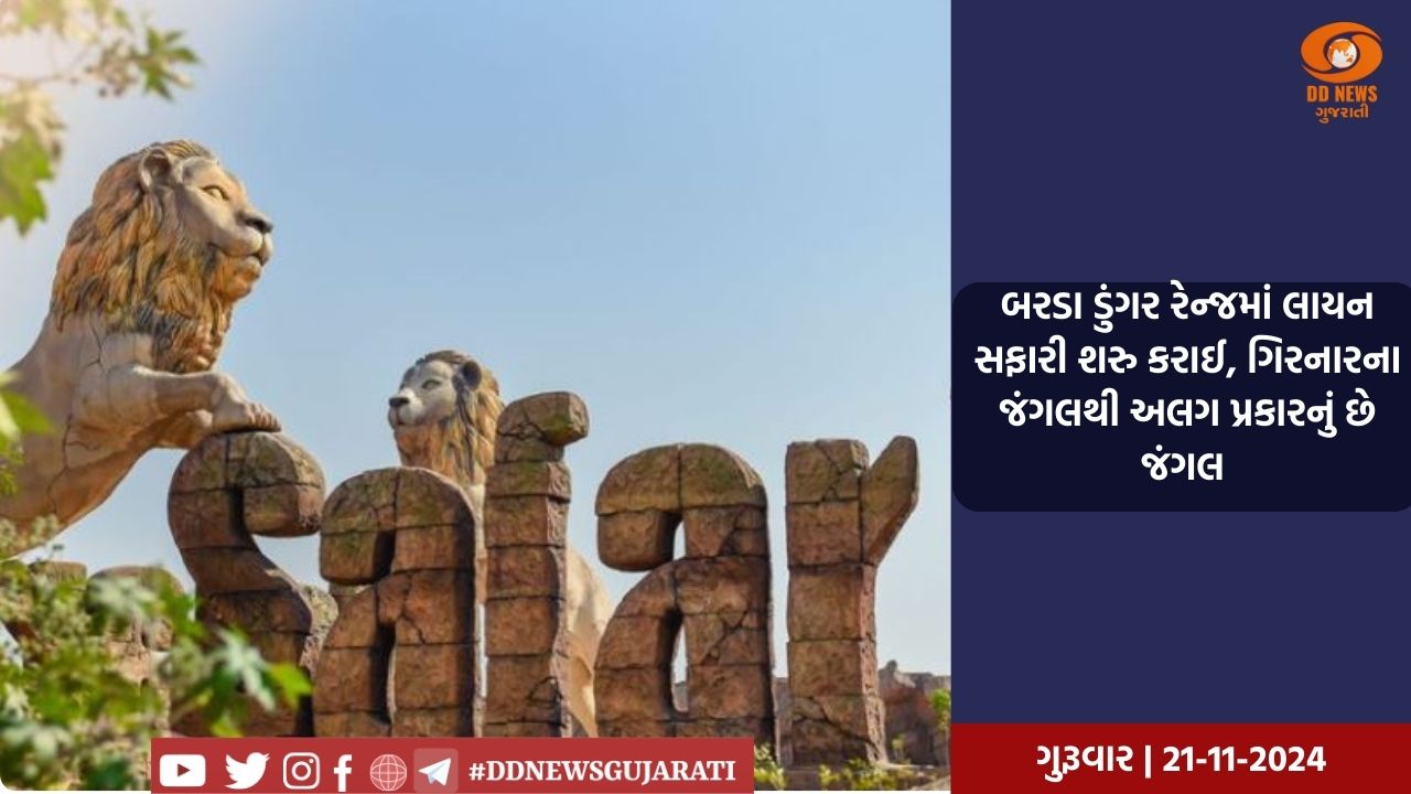 બરડા ડુંગર રેન્જમાં લાયન સફારી શરુ કરાઈ, ગિરનારના જંગલથી અલગ પ્રકારનું છે જંગલ 