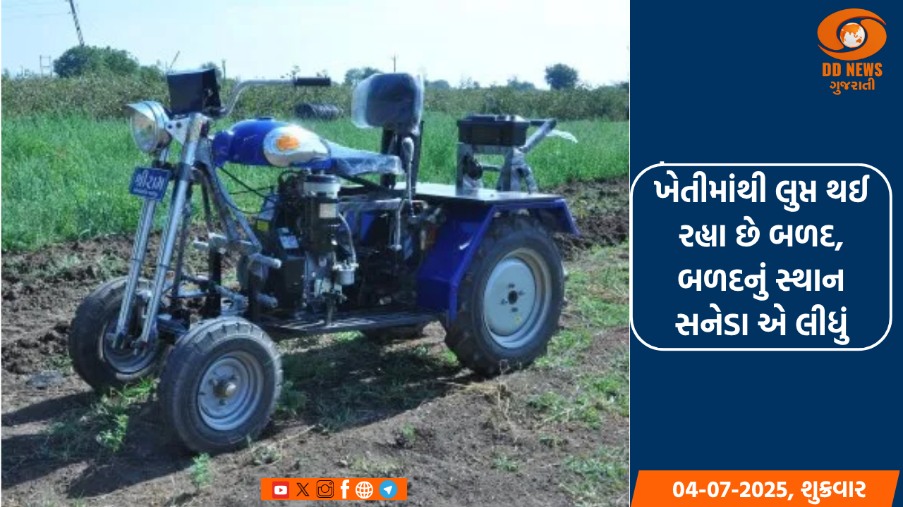 ખેતીમાંથી લુપ્ત થઈ રહ્યા છે બળદ, બળદનું સ્થાન સનેડા એ લીધું