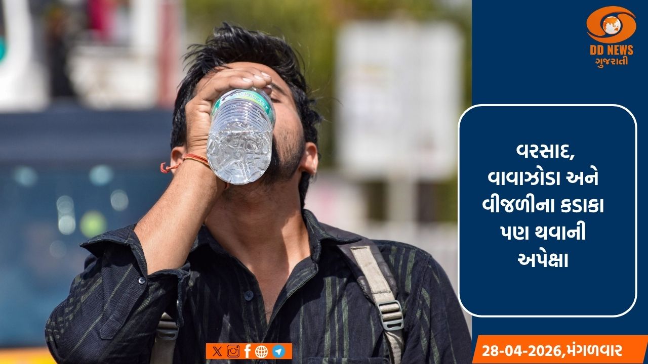 હવામાન અપડેટ: આગામી ચાર દિવસ માટે તીવ્ર ગરમી અને ગરમીના મોજા, વરસાદ અને ભારે પવનથી રાહત મળવાની અપેક્ષા 